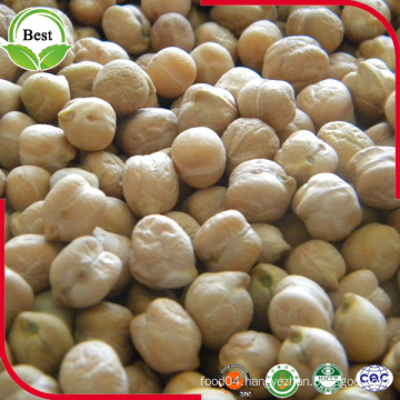 Wholesale Cheap Chickpeas